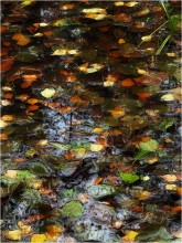 Herbst Mosaik / *****