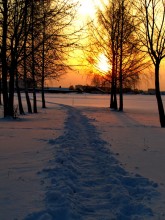 Orange Himmel ... / ***