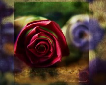 Titel / ***