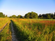 Summer rot mit mir ... / ***