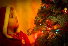 Wish Tree / ***
