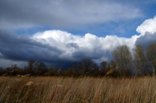 Vor dem regen. / ***