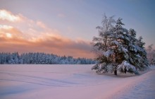 &quot;Poslenovogodnyaya&quot; / *****