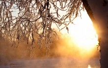 Frost und Sonne ... / ***