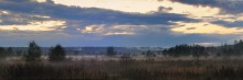 Abendnebel ... K / ***