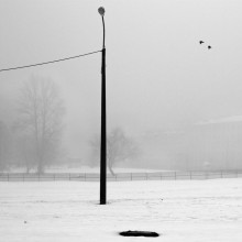 Nebel / 10.01.2010