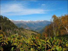 Herbst in den Bergen / ***