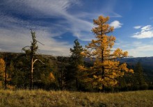 Herbst in der südlichen Ural. / ***