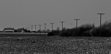 Herbst Grau / -----