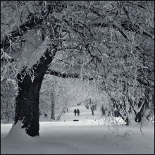Im Winter Park / ***