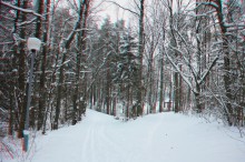 Winter 3D / ***