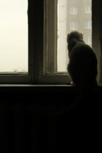Traurigkeit / ***