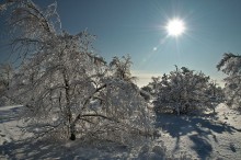 Wintermorgen ... / ***