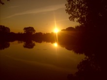 Summer Evening / ***