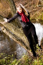 Herbst / ***