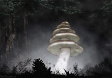 Mushroom Podelochnik / ***