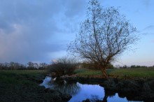 YariK, Abend. / ***