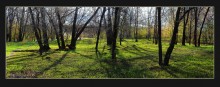 Nostalgie für den Frühling / ***
