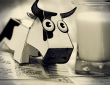 Cow / ***