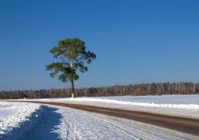 Eine Straße. / ******