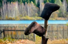 Filzstiefel / ***