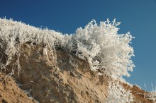 Frost / ***