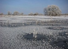 Winter Überschwemmungen in Polesie / ***