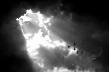 there is hope / ***