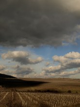 Die Weinberge sind für regen warten / ***