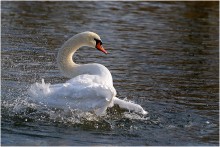 Weiter / -----------