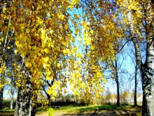 Herbst / ***