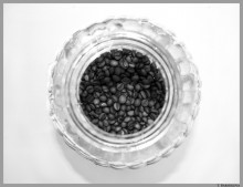 Arabica / ***