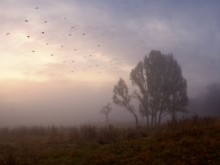 Auf der Herbstnebel / ***