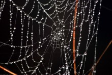 Altweibersommer / *****