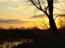 Dreimal vor Sonnenuntergang / ***