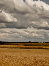 Vor dem Sturm / .....