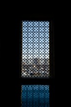 Fenster / ***