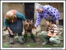 Urban child and country life / Urban child and country life