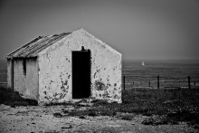 White Sail / ***