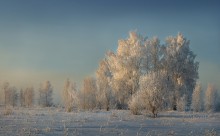 Frosty Morning / ******