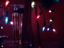 Neujahrsgeschenk / ........