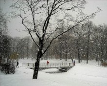 Im Winter des Parks. / ***