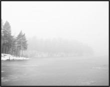 Frühling Nebel ... / ***