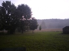 Misty vecharam / ***