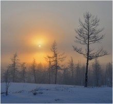 Ich sehe die Sonne! / ***