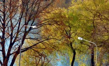 Laternen / ***