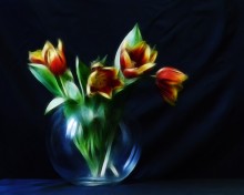 Stillleben mit Tulpen / -------