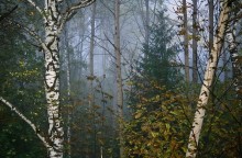 Skizze des Waldes in einem nebligen Morgen / ***