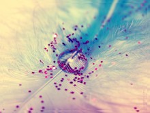 Glamorous Tropfen / http://photoawards.ru/photos/639783?photo_selector%5Buser_id%5D=141473#photo