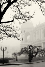 Foggy Day in Odessa. / ***